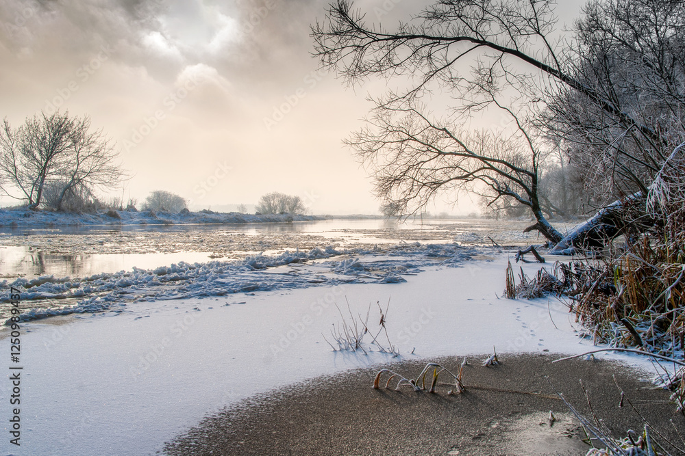 Piękno śnieznej i mroznej zimy w Dolinie Narwi i Biebrzy - Podlasie, Polska