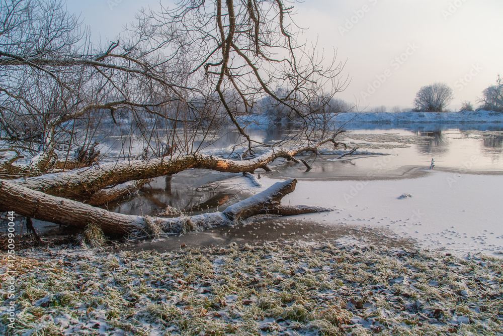 Piękno śnieznej i mroznej zimy w Dolinie Narwi i Biebrzy - Podlasie, Polska