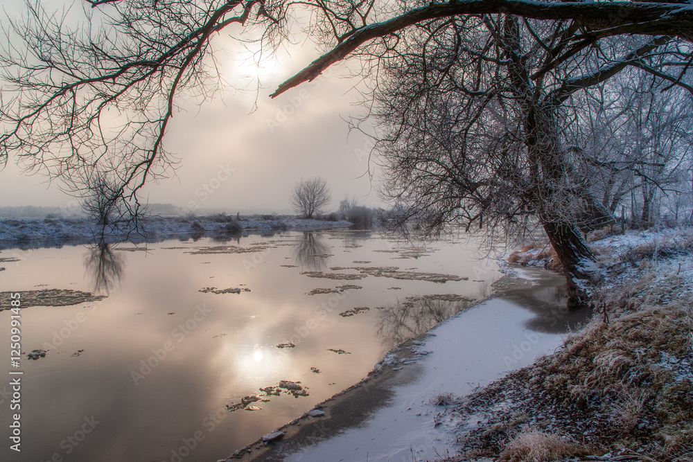 Piękno śnieznej i mroznej zimy w Dolinie Narwi i Biebrzy - Podlasie, Polska