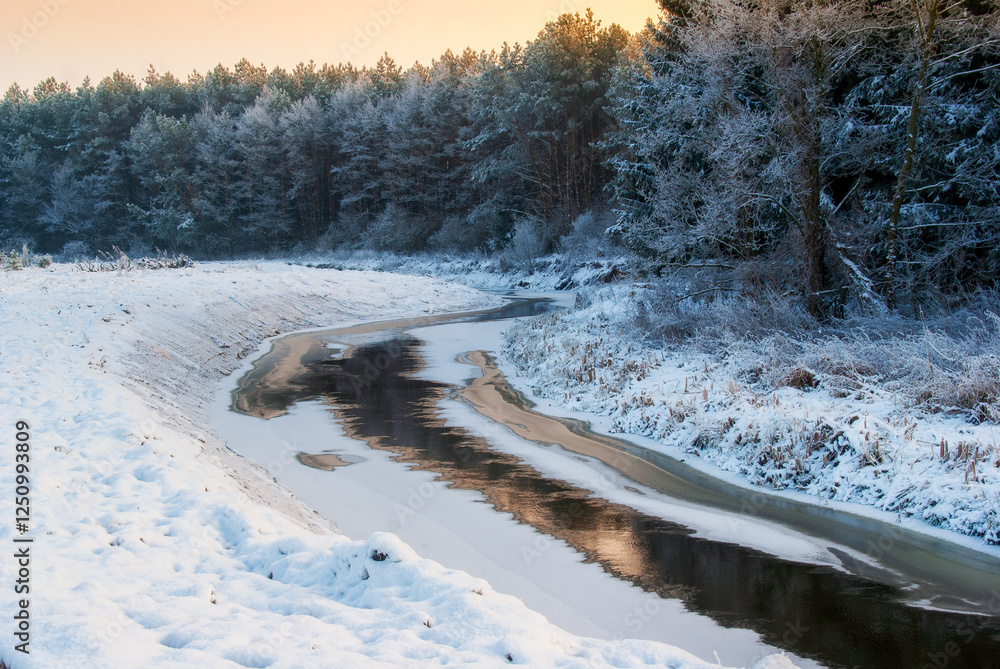 Piękno śnieznej i mroznej zimy w Dolinie Narwi i Biebrzy - Podlasie, Polska