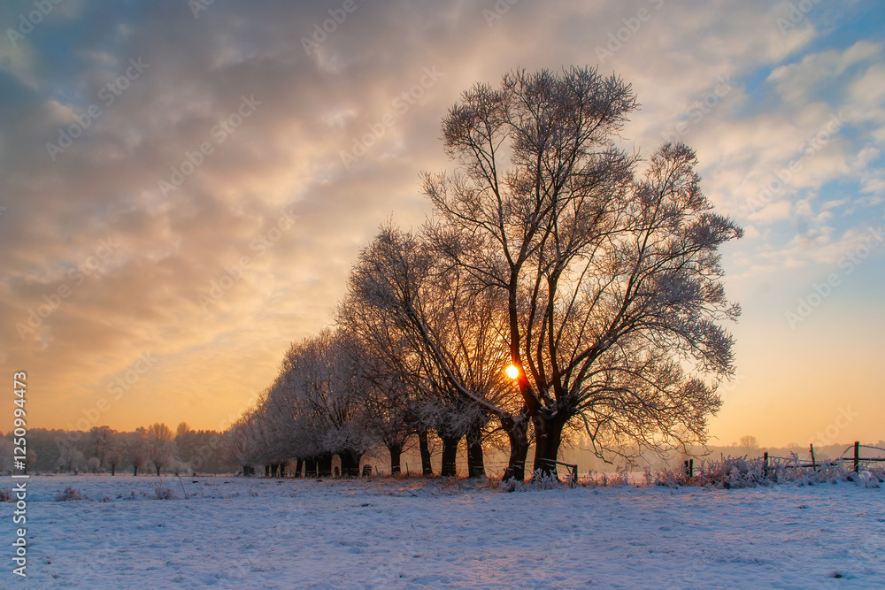 Piękno śnieznej i mroznej zimy w Dolinie Narwi i Biebrzy - Podlasie, Polska