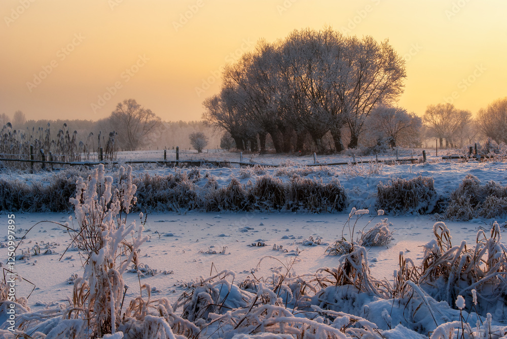 Piękno śnieznej i mroznej zimy w Dolinie Narwi i Biebrzy - Podlasie, Polska