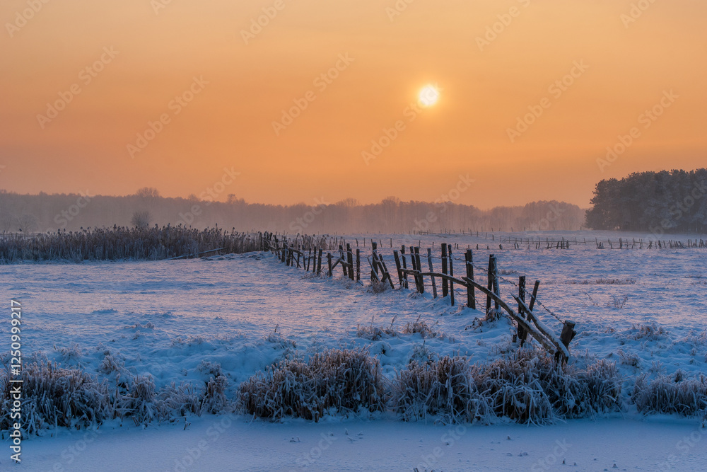 Piękno śnieznej i mroznej zimy w Dolinie Narwi i Biebrzy - Podlasie, Polska