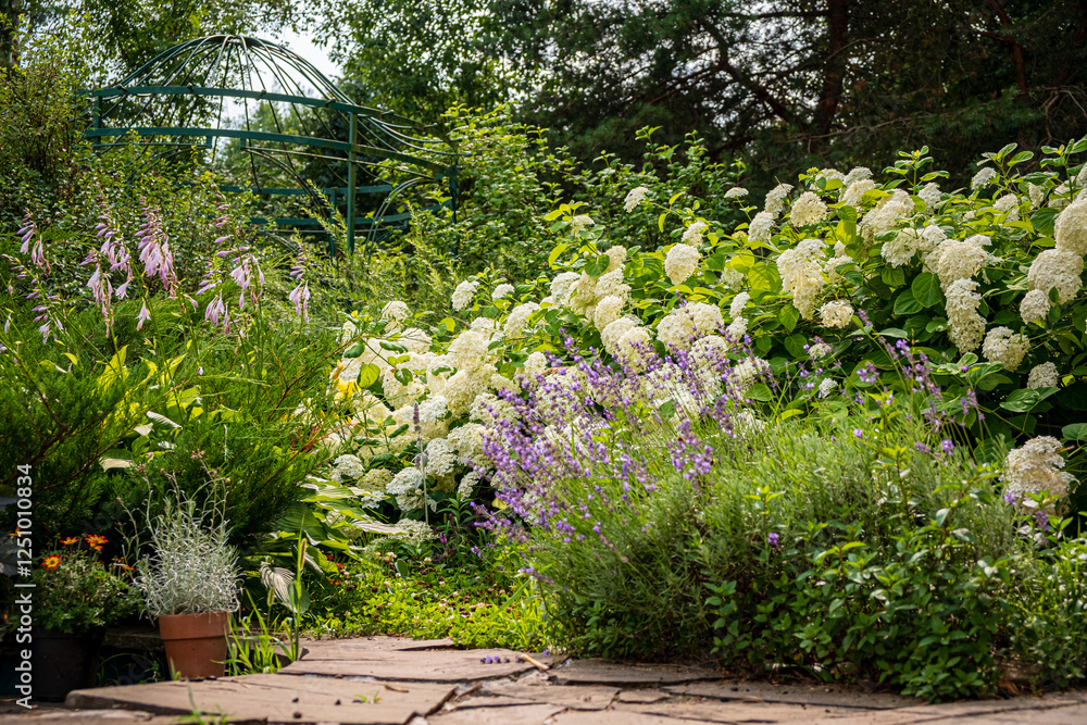 Lush Garden Pathway Adorned With Blooming Flowers and Greenery Invites Tranquility in a Serene Outdoor Setting Lush Garden Pathway Adorned With Blooming Flowers and Greenery Invites Tranquility in a Serene Outdoor Setting
