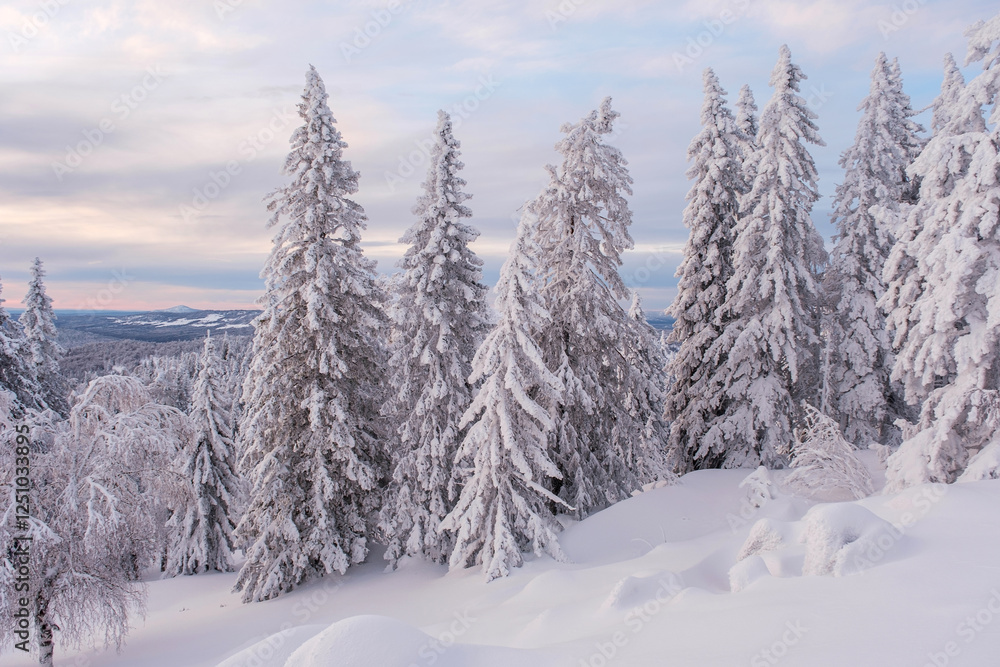 Winter snow-covered trees in the Ural mountains Winter snow-covered trees in the Ural mountains
