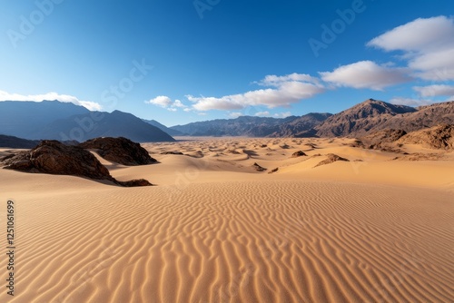 Vast desert landscape with rolling sand dunes under a bright blue sky at midday