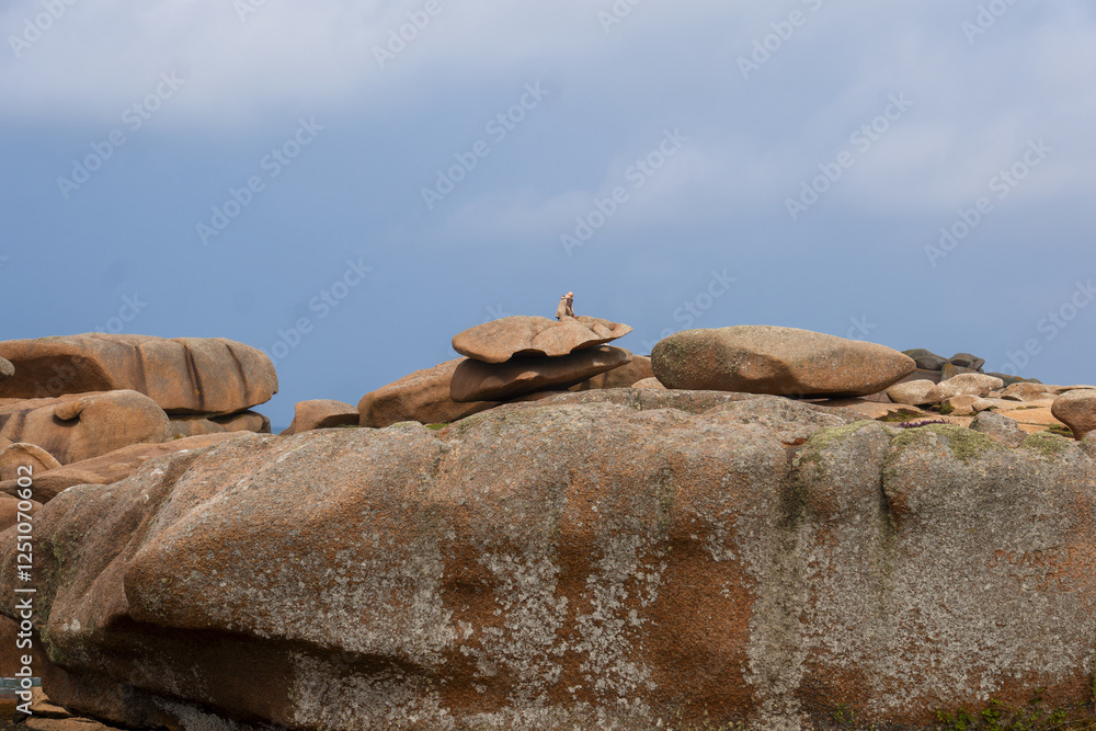 rocks and boulders located on Renote Island in the commune of Trégastel, on The Pink Granite Coast in Brittany, France rocks and boulders located on Renote Island in the commune of Trégastel, on The Pink Granite Coast in Brittany, France