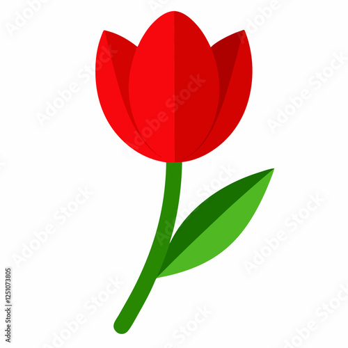 Show the picture of red tulip flower