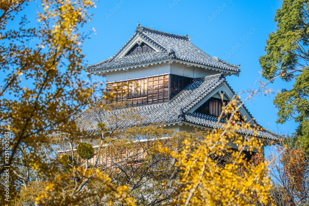 Kumamoto castle with yellow leaves in autumn season. Kumamoto castle with yellow leaves in autumn season.