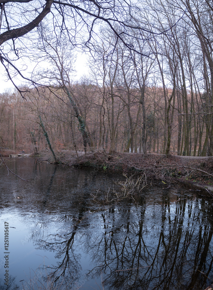 Obraz premium Pond around the road leading to the iron well in Bratislava. Beautiful reflections of trees on the autumn surface of the pond.