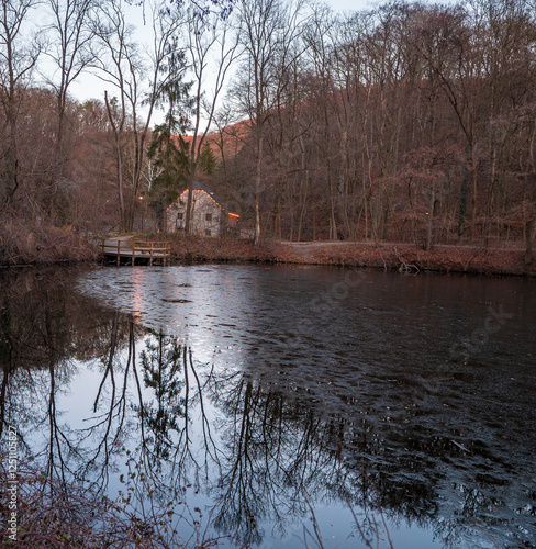 Photography Pond around the road leading to the iron well in Bratislava