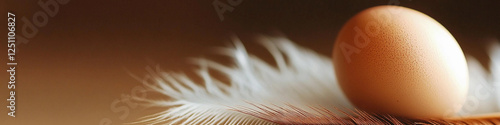 Egg resting on a delicate feather in warm light