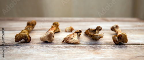 Dry chicken thight bones on the table, web banner. Natural dog snack for dental health. photo