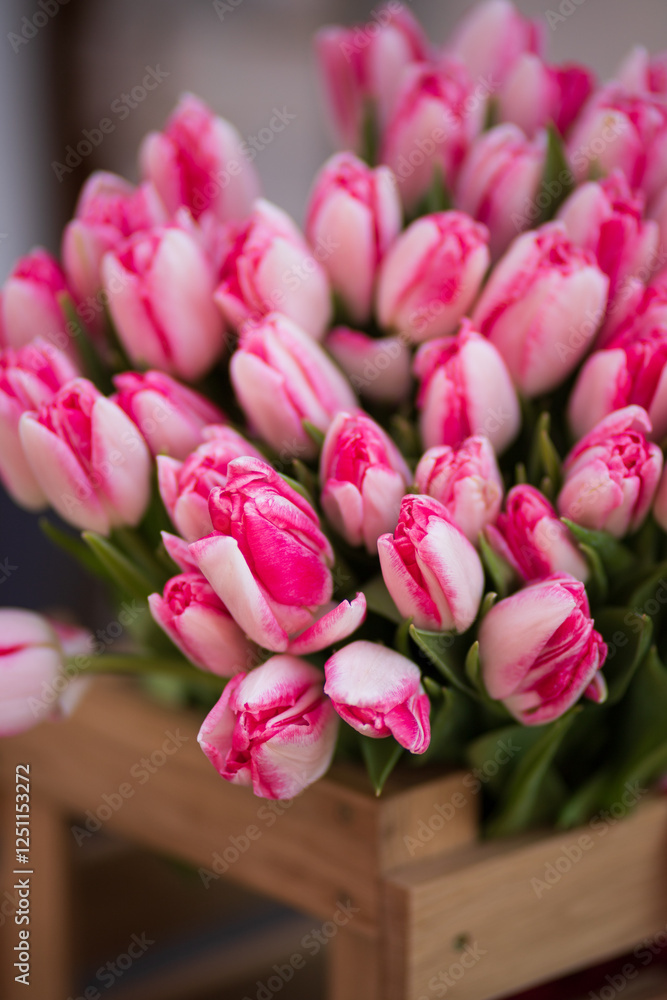 Obraz premium Tulips