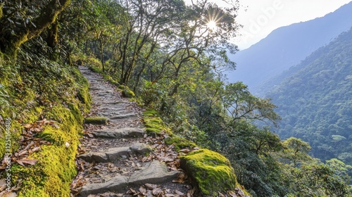 Sunlight filtering through dense trees on an ancient mountain trail, highlighting the rich textures of moss-covered rocks and fallen leaves. photo