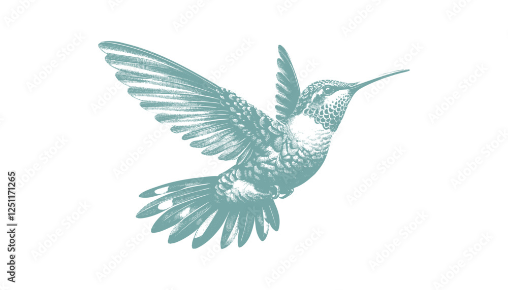 Obraz premium hummingbird vector | bird vector | hummingbird illustration | hummingbird silhouette | hummingbird tattoo | hummingbird engraving | hummingbird drawing