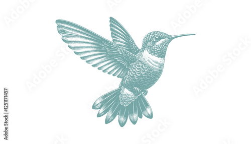 hummingbird vector | bird vector | hummingbird illustration | hummingbird silhouette | hummingbird tattoo | hummingbird engraving | hummingbird drawing