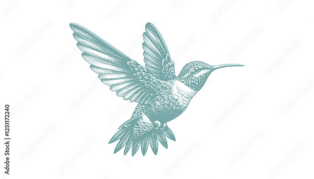 Obraz premium hummingbird vector | bird vector | hummingbird illustration | hummingbird silhouette | hummingbird tattoo | hummingbird engraving | hummingbird drawing