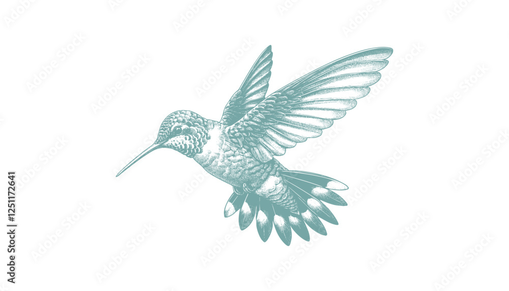 Obraz premium hummingbird vector | bird vector | hummingbird illustration | hummingbird silhouette | hummingbird tattoo | hummingbird engraving | hummingbird drawing