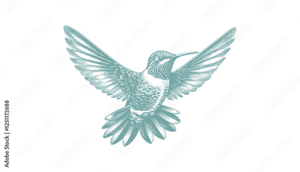 hummingbird vector | bird vector | hummingbird illustration | hummingbird silhouette | hummingbird tattoo | hummingbird engraving | hummingbird drawing hummingbird vector | bird vector | hummingbird illustration | hummingbird silhouette | hummingbird tattoo | hummingbird engraving | hummingbird drawing