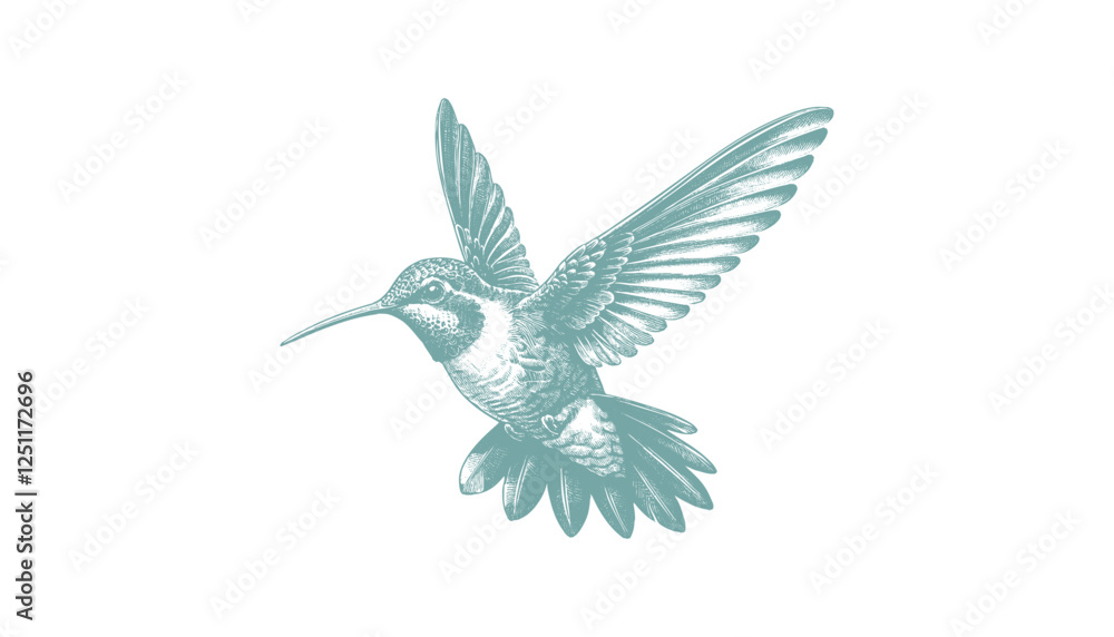 Obraz premium hummingbird vector | bird vector | hummingbird illustration | hummingbird silhouette | hummingbird tattoo | hummingbird engraving | hummingbird drawing