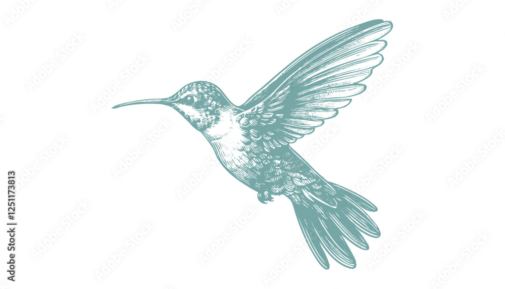 Obraz premium hummingbird vector | bird vector | hummingbird illustration | hummingbird silhouette | hummingbird tattoo | hummingbird engraving | hummingbird drawing