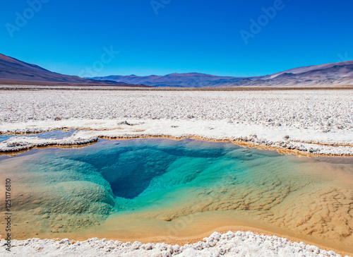 Laguna verde in Salar de Antofalla in the Puna de Atacama in Northern Argentina photo