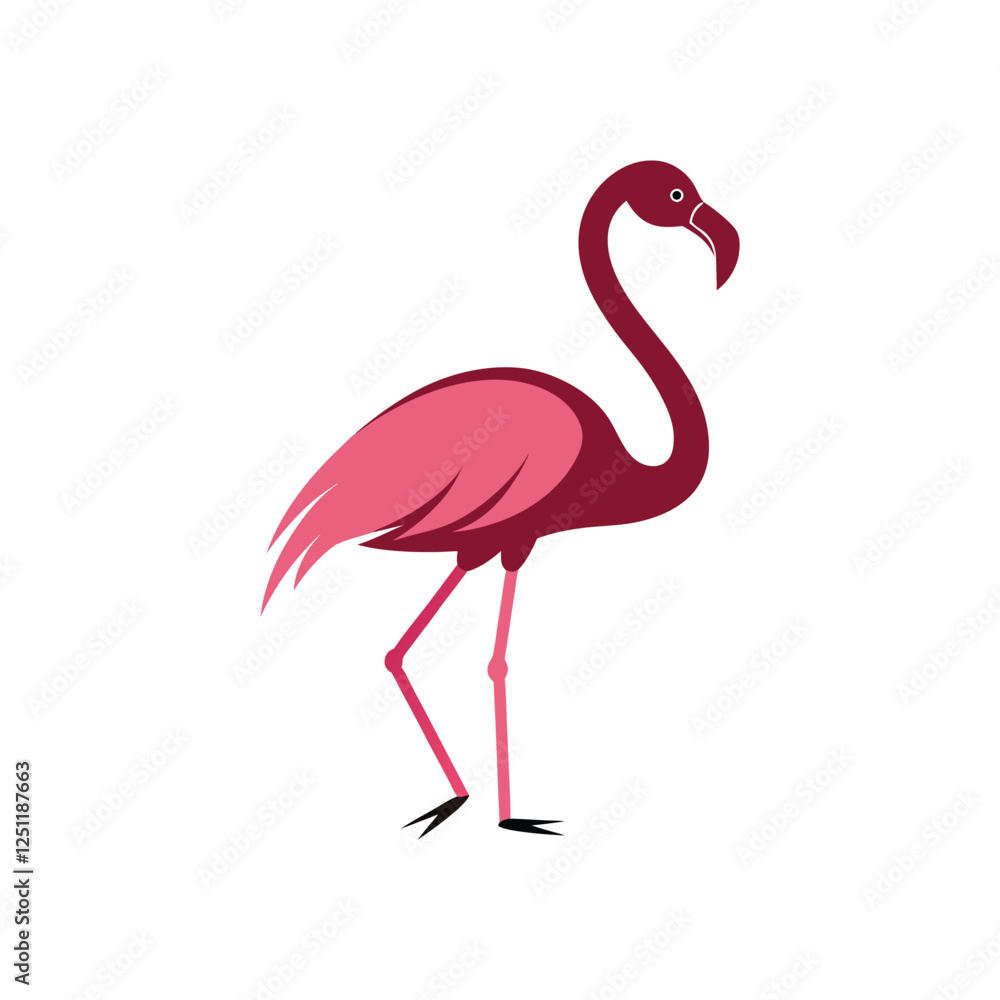 Obraz premium flamingo vector on a white background.eps