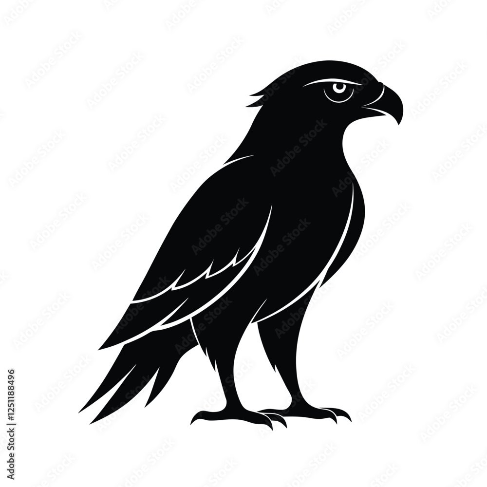 Fototapeta premium hawk vector on a white background.eps