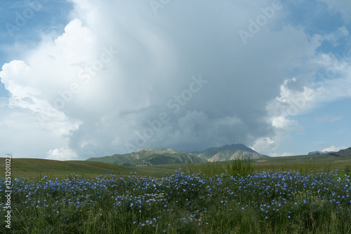 Bortala Sailimu Lake Scenic Area, Xinjiang Uygur Autonomous Region, China photo