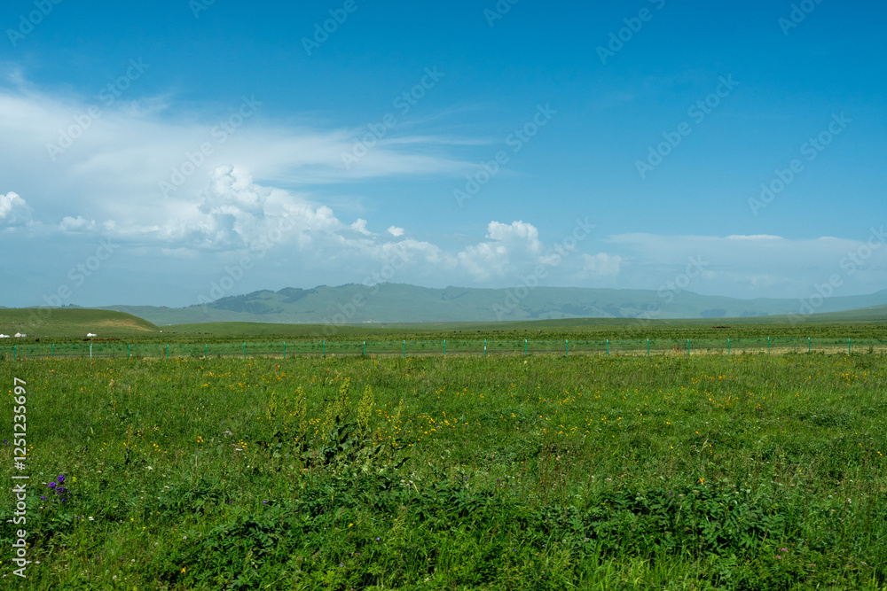 Bortala Sailimu Lake Scenic Area, Xinjiang Uygur Autonomous Region, China