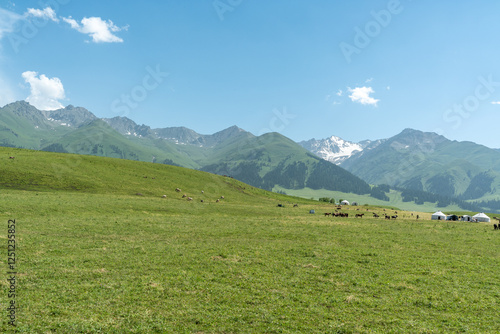 Wallpaper Mural Bortala Sailimu Lake Scenic Area, Xinjiang Uygur Autonomous Region, China Torontodigital.ca