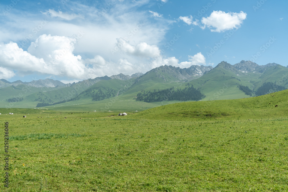Bortala Sailimu Lake Scenic Area, Xinjiang Uygur Autonomous Region, China Bortala Sailimu Lake Scenic Area, Xinjiang Uygur Autonomous Region, China