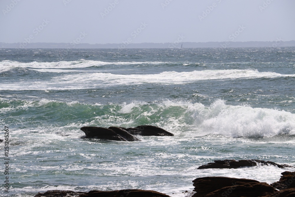 surfing the waves