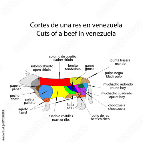 Cortes de una res en venezuela copia.eps