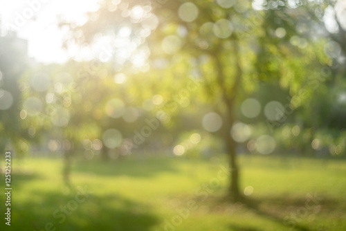 Wallpaper Mural Blur park with sun light abstract background Torontodigital.ca