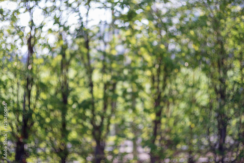 Fototapeta premium Blur park with sun light background