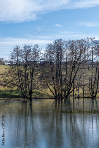 Kleiner See mit Bäumen am Ufer mit einer dünnen Eisdecke photo