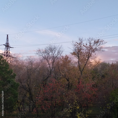 high voltage power lines in the forest