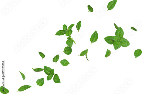 Floating Basil Leaves