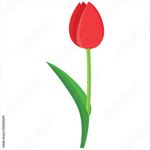 Single red tulip captures the beauty of a vibrant flower. Perfect for springthemed designs, nature backgrounds, or floral arrangements.