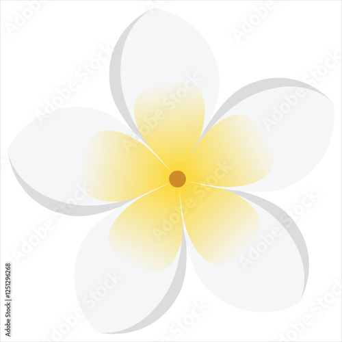 Illustration of frangipani flower
