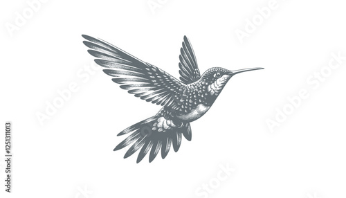 hummingbird vector | bird vector | hummingbird illustration | hummingbird silhouette | hummingbird tattoo | hummingbird engraving | hummingbird drawing