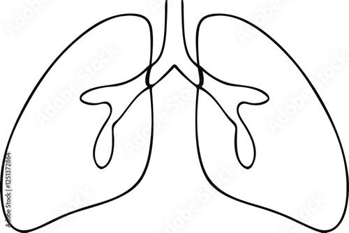 Human Lungs Respiratory System, Anatomy, Diagram, SingleLine Drawing, Healthcare, Medicine, Biology,
