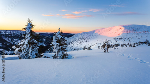 Fototapeta Naklejka Na Ścianę i Meble -  Giant Mountains in winter. Descent into the Krkonoše Mine at sunrise. Snow-covered trees on the mountains. Sunrise in the mountains
