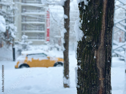 Wallpaper Mural heavy snowfall blocked streets and cars Torontodigital.ca