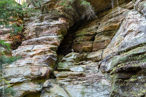 large cave opening in the forest