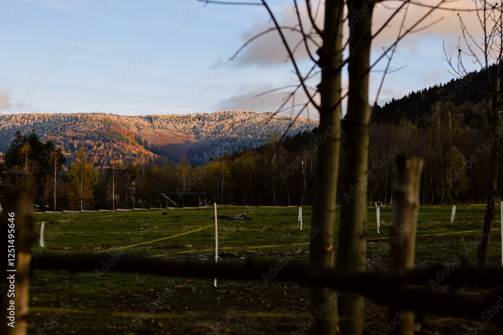 Obraz premium Landscape, meadow, snowy mountains, nature
