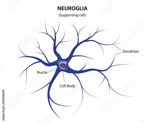 Neuroglia