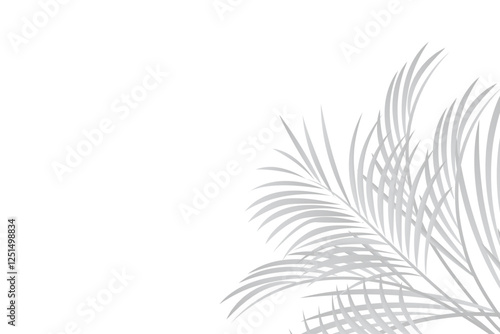 Abstract background of tropical palm leaves. Shadow effects with tropical palm leaves.